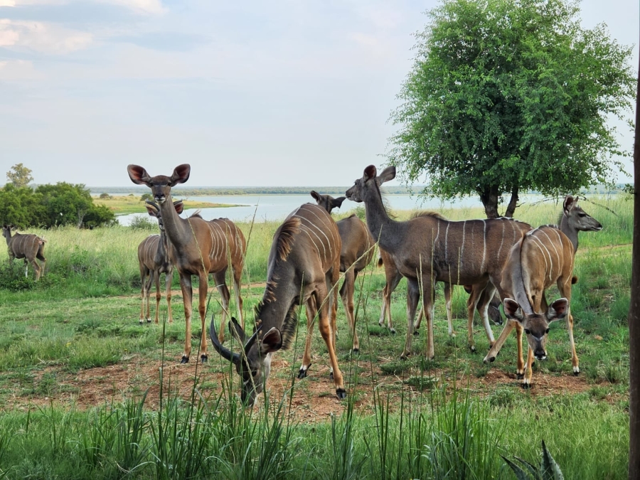 3 Bedroom Property for Sale in Vaalkop AH North West